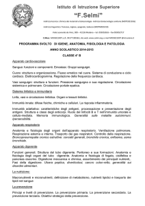 Istituto di Istruzione Superiore