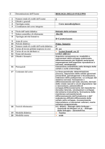 format programma.abelli