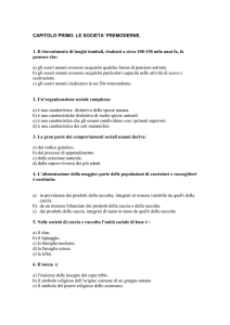esercitazioni con quiz