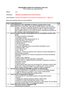 PROGRAMMA OPERATIVO NAZIONALE 2007