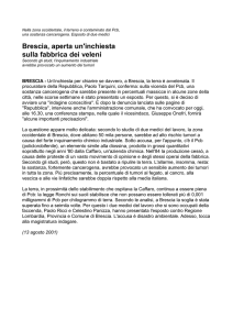 Nella zona occidentale, il terreno è contaminato dal Pcb, una