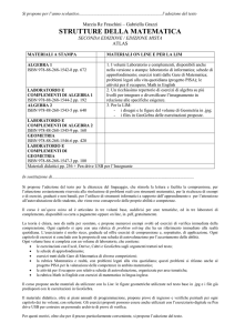 Relazione Strutture della matematica seconda edizione