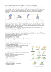 Un buon atleta deve possedere muscoli forti ed elastici