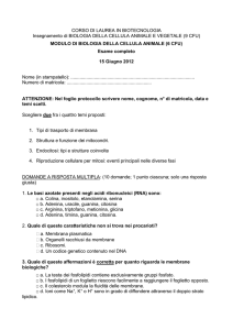 Quiz Biologia Cellula Animale – 15 Giugno 2012
