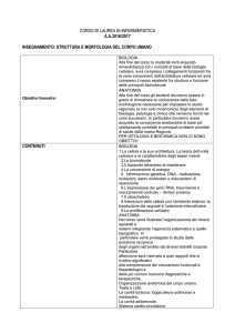 Struttura morfologia del corpo umano