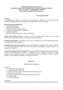 Prof. Giorgio BAIONI
