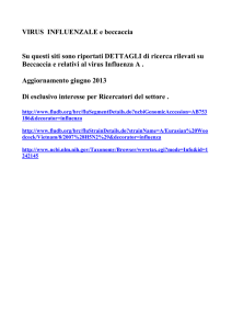 VIRUS INFLUENZALE e beccaccia