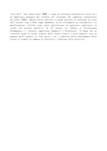 virus dell`infl uenza suina (SIV) e causa di patologia respiratoria