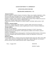 Scienze - “copernico” – pavia