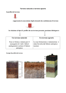 Terreno naturale e terreno agrario