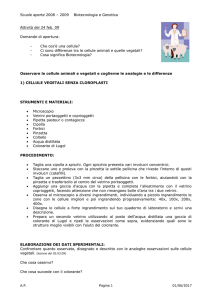 Attività del 25 nov - ComprensivoTurbigo