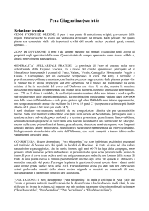 Pera Giugnolina (varietà) Relazione tecnica CENNI STORICI ED