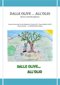 DALLE OLIVE … ALL`OLIO