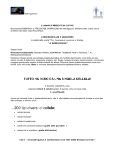 Biofrequenze.it L`UOMO E L`AMBIENTE IN CUI VIVE Riconoscere l
