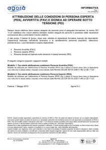 PES, PAV, PEI: Attribuzione Condizioni di Persona Esperta