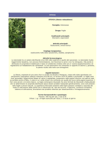 stevia - Farmacia S. Antonio – Brescia