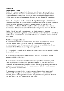 Capitolo_4