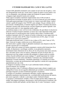 28 - i tumori mammari nel cane e nel gatto