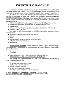 clicca qui per informazioni