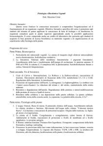 Programma - Dipartimento di Biotecnologie