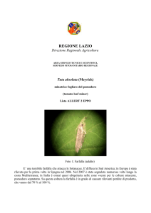 è un insetto Rincote della superfamiglia dei