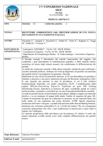 Scarica / Visualizza il file allegato