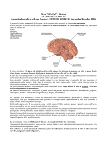 - SITO DEL PROF. GIANFRANCO RONCAROLO / LICEO