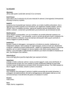 glossario - ConsumArt