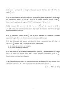 problemi4bs - Liceo Malpighi