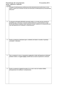 esempio compitino primo modulo File