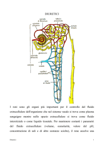 Diuretici risparmiatori di Potassio