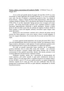 2013.05.24 Maffei - di Roberto Vacca