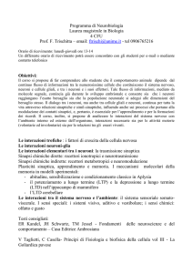 Programma di Neurobiologia