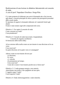 esercitazione - laboratorio vivo