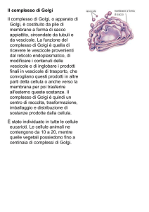 Il complesso di Golgi