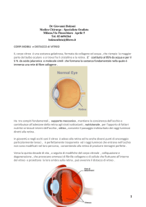 mosche volanti