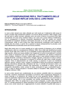 La fitodepurazione per il trattamento delle acque reflue civili ed il