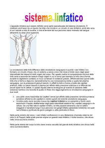 Sistema linfatico