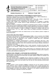 08.07.2002 Fuoco batterico