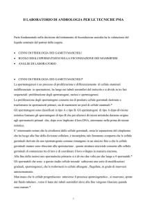 labAndr - Carlo Bulletti
