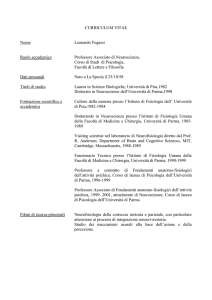 curriculum vitae