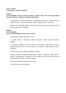 Programmi di Scienze Naturali da inserire sul sito del Liceo Artistico