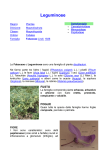 Regno - IISS Caramia