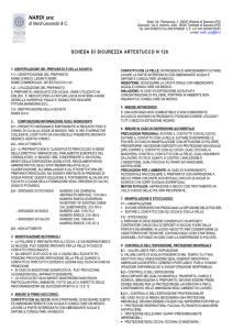 1.1 – identificazione del preparato