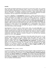 Da Eraclito a Protagora