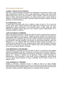 Testi Mostre Temporanee (doc 24,50Kb)