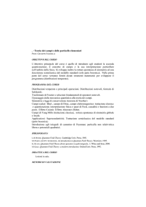 Teoria dei campi e delle particelle elementari