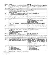 Pagina