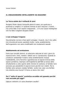 creazionisti - Progetto scuole Feltrinelli