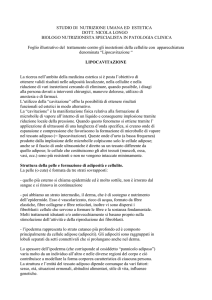 Foglio illustrativo della cavitazione - studio nutrizionista dott. Nicola